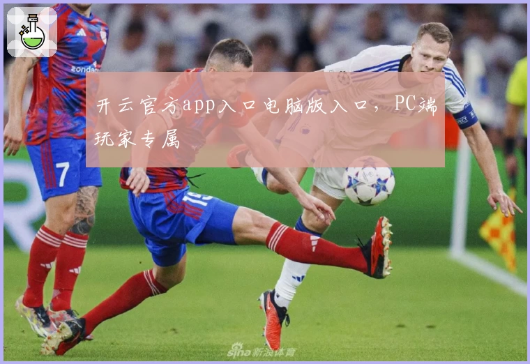 开云官方app入口电脑版入口，PC端玩家专属