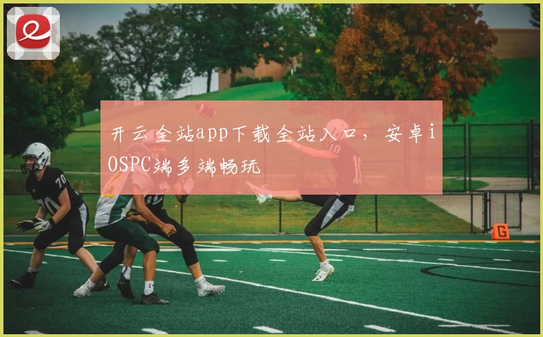 开云全站app下载全站入口，安卓iOSPC端多端畅玩