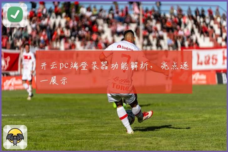 开云pc端登录器功能解析，亮点逐一展示