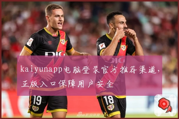 kaiyunapp电脑登录官方推荐渠道，正版入口保障用户安全