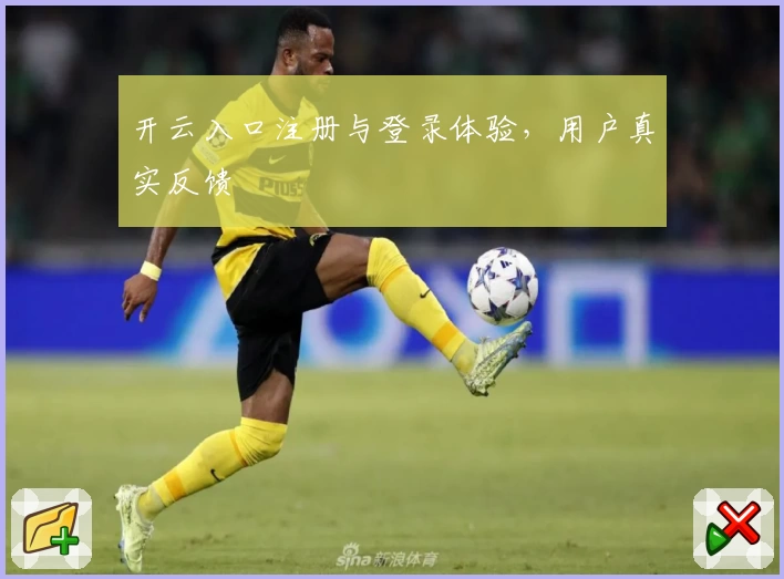开云入口注册与登录体验，用户真实反馈